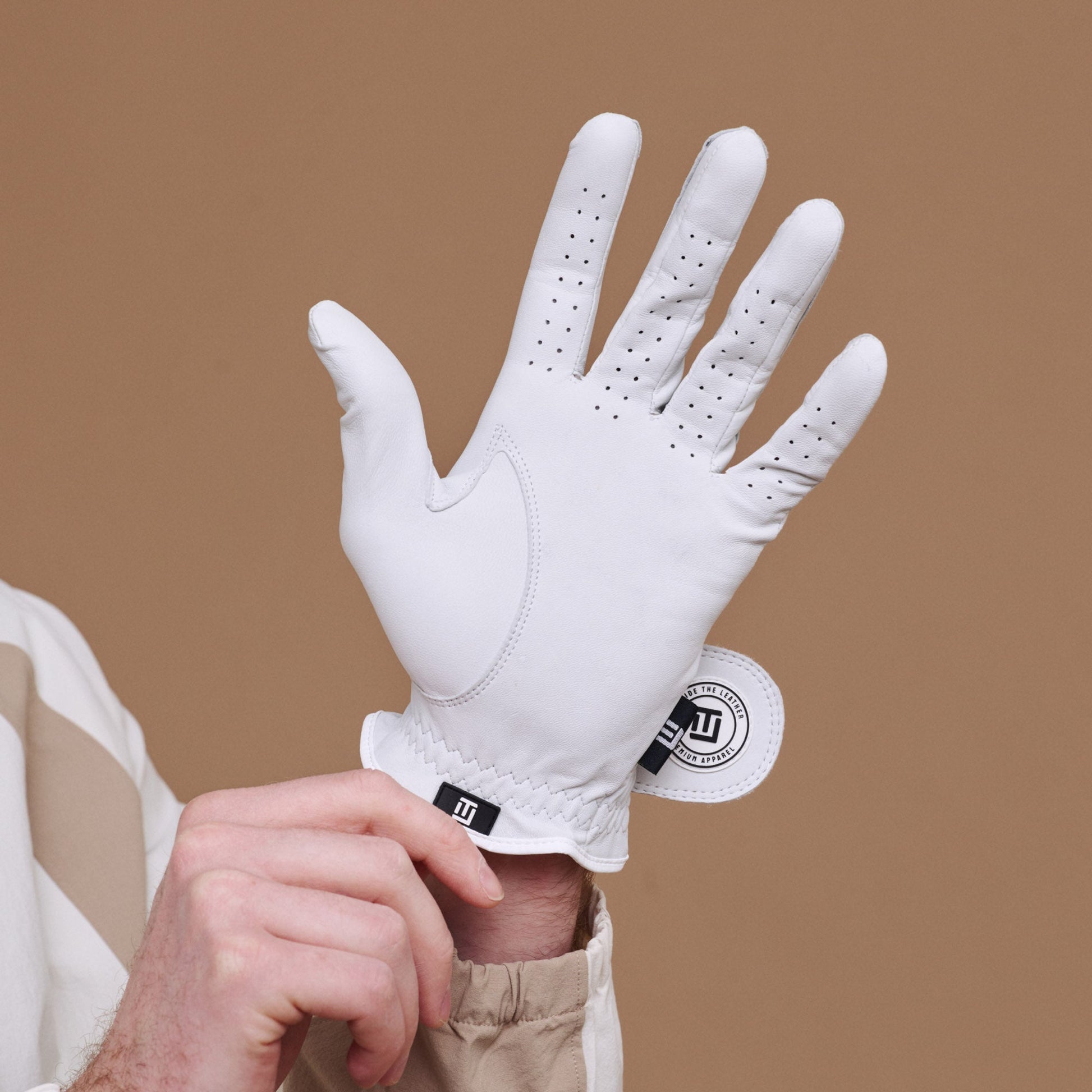 Men's ITL 2.0 Signature Glove — Classic Colours - Inside the Leather Golf Gloves
